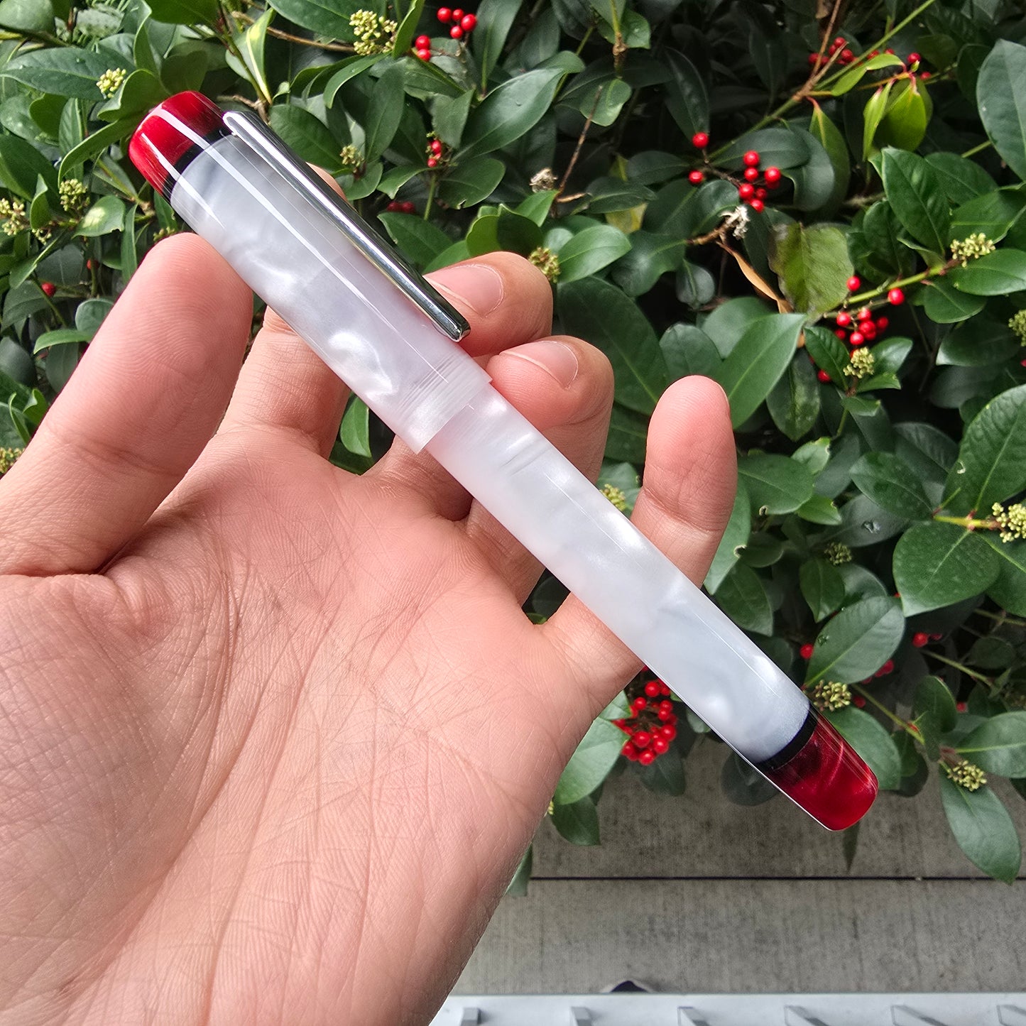 Winterberry