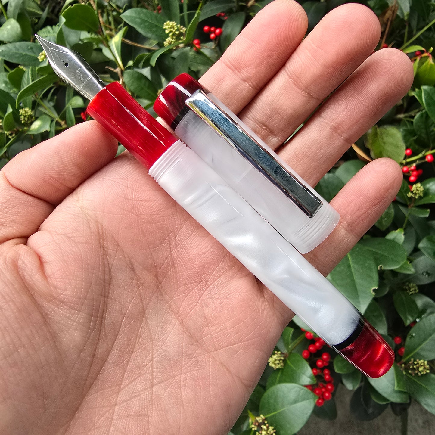 Winterberry