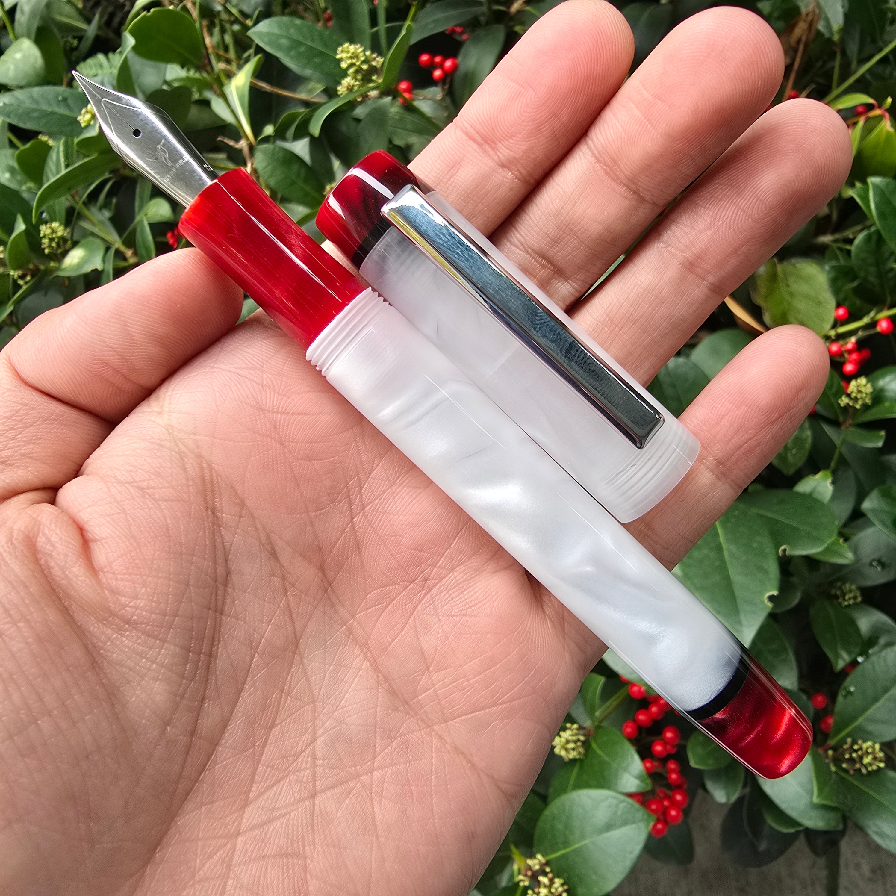 Winterberry