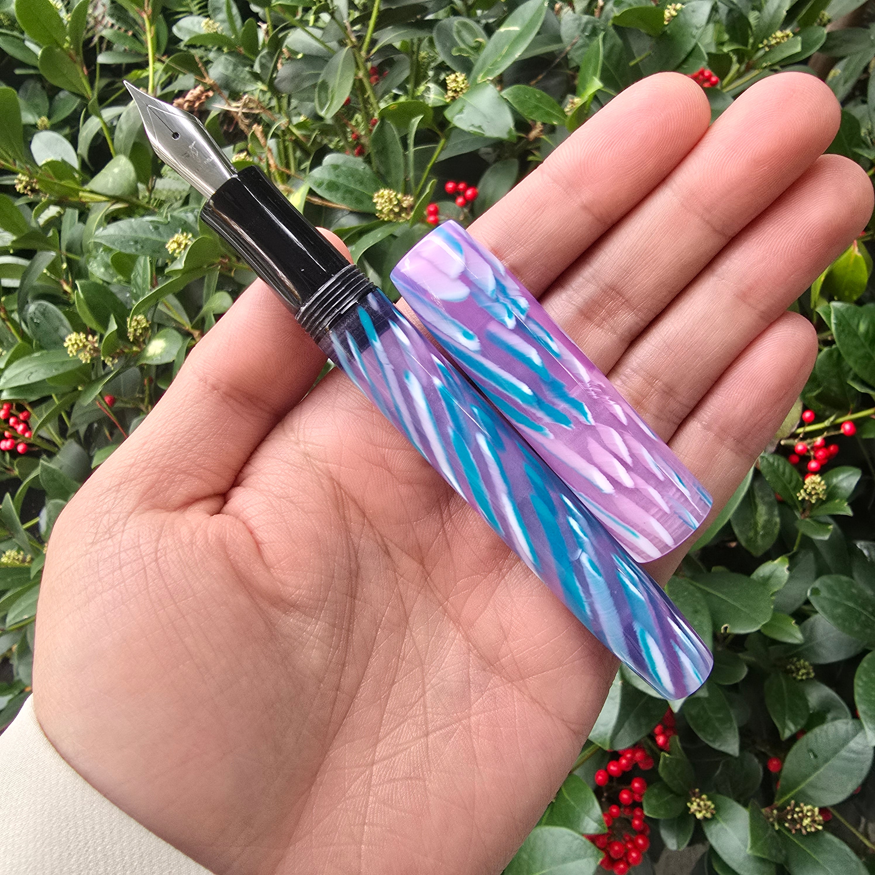 Aurora Breeze