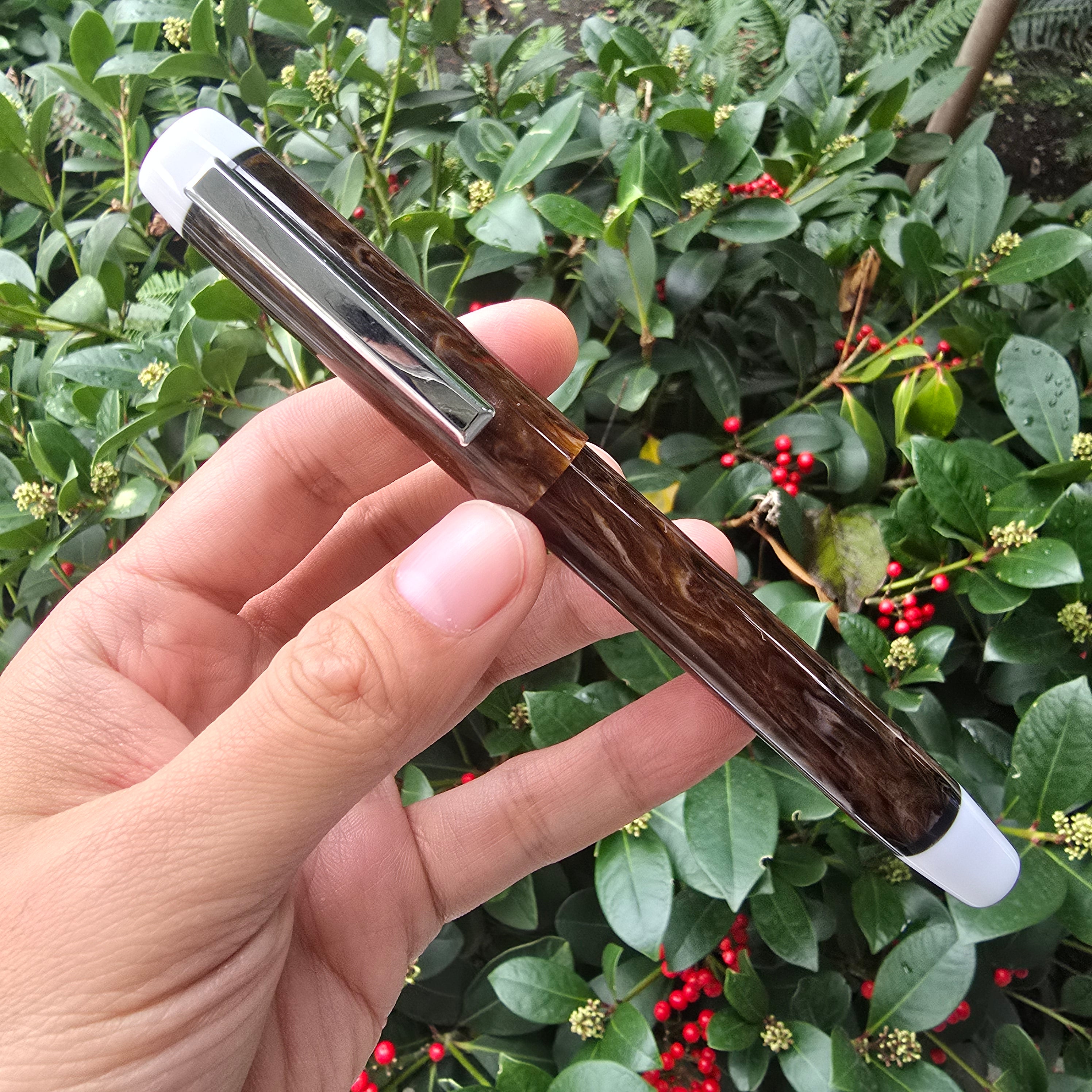 Espresso Bold